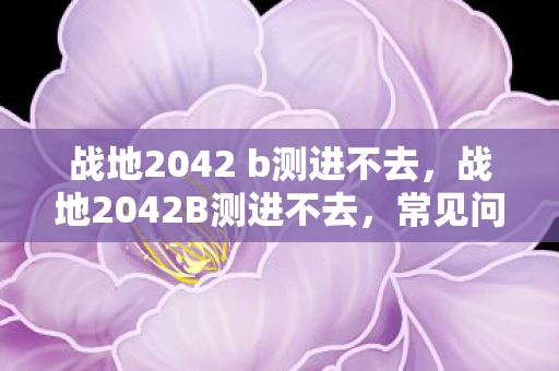 战地2042 b测进不去,战地2042B测进不去,常见问题及解决方案 战地2042 b测进不去,战地2042B测进不去,常见问题及解决方案