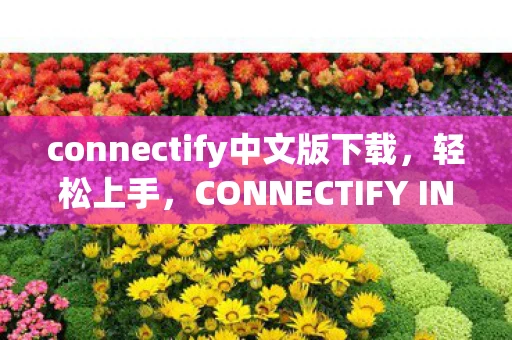 connectify中文版下载，轻松上手，CONNECTIFY INSTALLER中文版使用指南