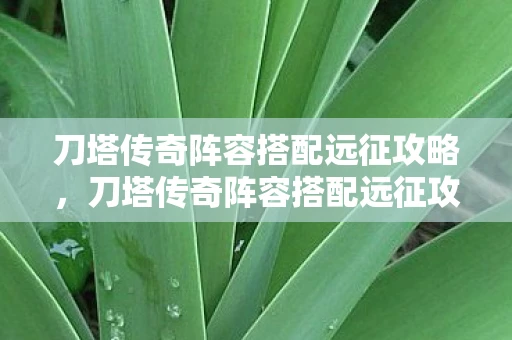 刀塔传奇阵容搭配远征攻略，刀塔传奇阵容搭配远征攻略