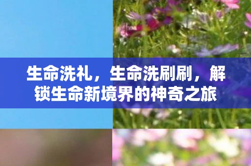 生命洗礼,生命洗刷刷,解锁生命新境界的神奇之旅 生命洗礼,生命洗刷刷,解锁生命新境界的神奇之旅