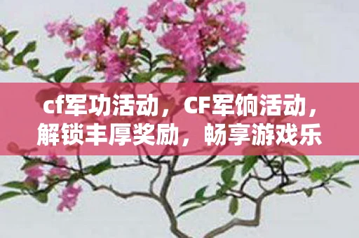 cf军功活动，CF军饷活动，解锁丰厚奖励，畅享游戏乐趣