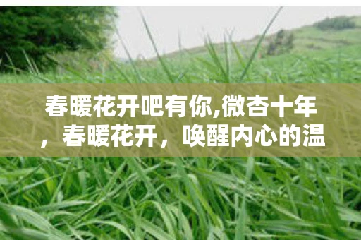 春暖花开吧有你,微杏十年,春暖花开,唤醒内心的温柔与希望 春暖花开吧有你,微杏十年,春暖花开,唤醒内心的温柔与希望