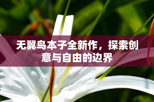 探索创意与自由的边界图片