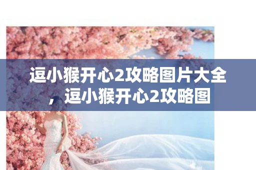 逗小猴开心2攻略图片大全,逗小猴开心2攻略图 逗小猴开心2攻略图片大全,逗小猴开心2攻略图