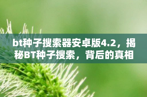 bt种子搜索器安卓版4.2,揭秘BT种子搜索,背后的真相与法律边界 bt种子搜索器安卓版4.2,揭秘BT种子搜索,背后的真相与法律边界