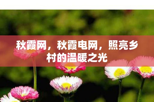 秋霞网,秋霞电网,照亮乡村的温暖之光 秋霞网,秋霞电网,照亮乡村的温暖之光
