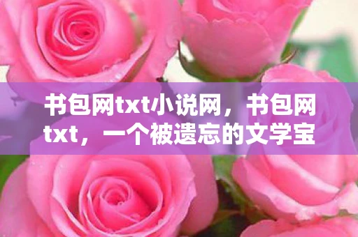 书包网txt小说网,书包网txt,一个被遗忘的文学宝藏 书包网txt小说网,书包网txt,一个被遗忘的文学宝藏