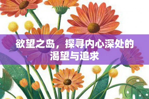 欲望之岛，探寻内心深处的渴望与追求