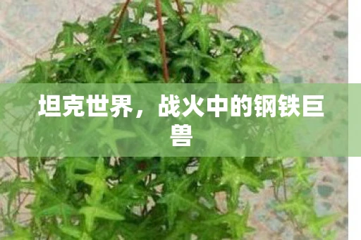 坦克世界，战火中的钢铁巨兽