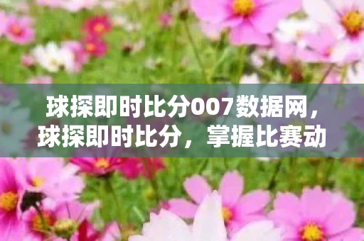 球探即时比分007数据网,球探即时比分,掌握比赛动态的必备工具 球探即时比分007数据网,球探即时比分,掌握比赛动态的必备工具