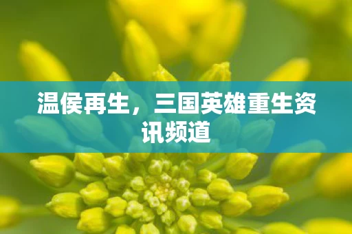 三国英雄重生资讯频道图片