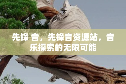 先锋 音,先锋音资源站,音乐探索的无限可能 先锋 音,先锋音资源站,音乐探索的无限可能