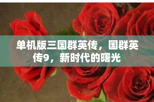 单机版三国群英传，国群英传9，新时代的曙光