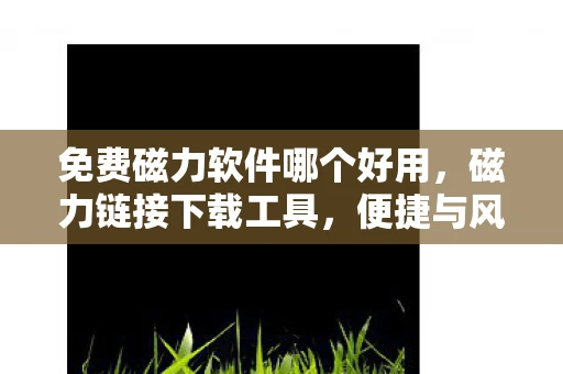 免费磁力软件哪个好用，磁力链接下载工具，便捷与风险并存的选择