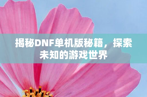 揭秘DNF单机版秘籍图片