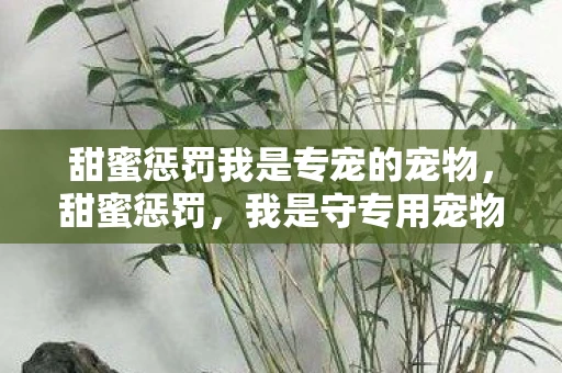 甜蜜惩罚我是专宠的宠物，甜蜜惩罚，我是守专用宠物