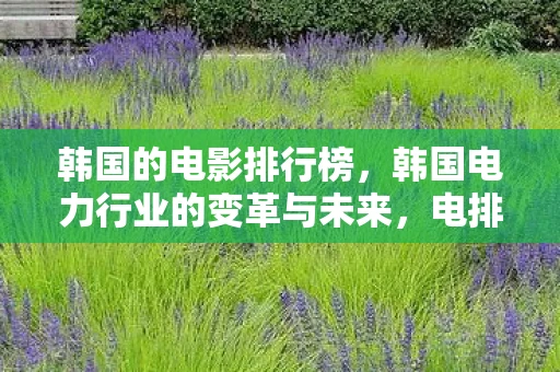 韩国的电影排行榜，韩国电力行业的变革与未来，电排行榜的启示