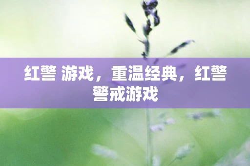 红警 游戏，重温经典，红警警戒游戏