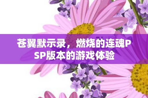 燃烧的连魂PSP版本的游戏体验图片