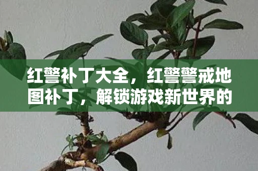 红警补丁大全,红警警戒地图补丁,解锁游戏新世界的钥匙 红警补丁大全,红警警戒地图补丁,解锁游戏新世界的钥匙