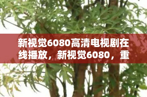 新视觉6080高清电视剧在线播放,新视觉6080,重塑电影观赏体验 新视觉6080高清电视剧在线播放,新视觉6080,重塑电影观赏体验