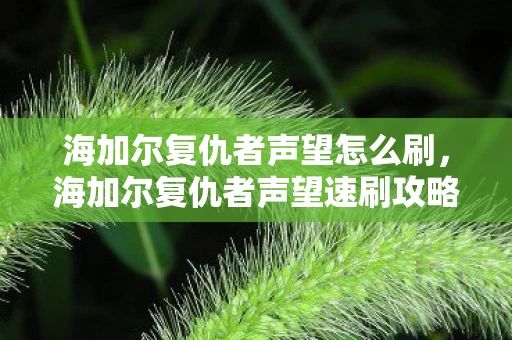 海加尔复仇者声望怎么刷,海加尔复仇者声望速刷攻略 海加尔复仇者声望怎么刷,海加尔复仇者声望速刷攻略
