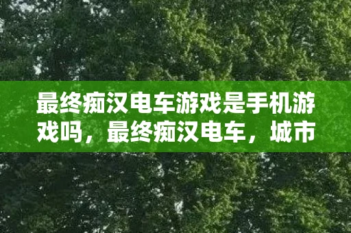 最终痴汉电车游戏是手机游戏吗，最终痴汉电车，城市隐秘角落的惊悚之旅