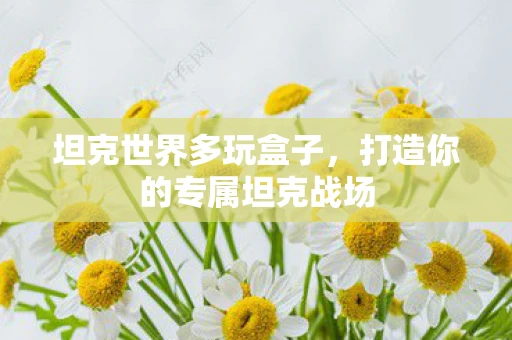 坦克世界多玩盒子，打造你的专属坦克战场