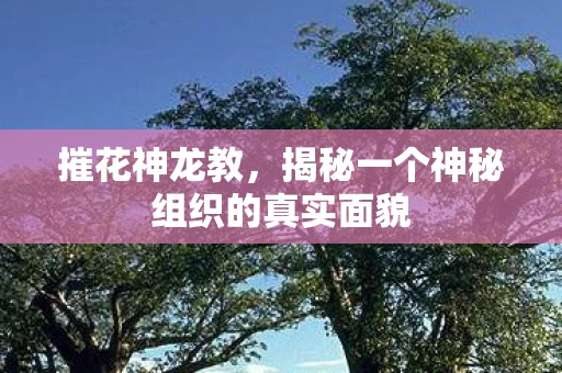 摧花神龙教,揭秘一个神秘组织的真实面貌 摧花神龙教,揭秘一个神秘组织的真实面貌