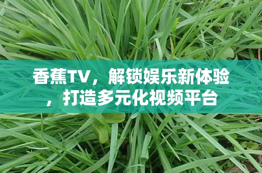 香蕉TV，解锁娱乐新体验，打造多元化视频平台