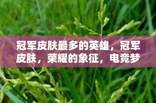 冠军皮肤最多的英雄，冠军皮肤，荣耀的象征，电竞梦想的结晶