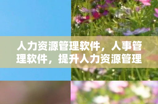 人力资源管理软件，人事管理软件，提升人力资源管理的效率与效能