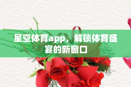 星空体育app，解锁体育盛宴的新窗口