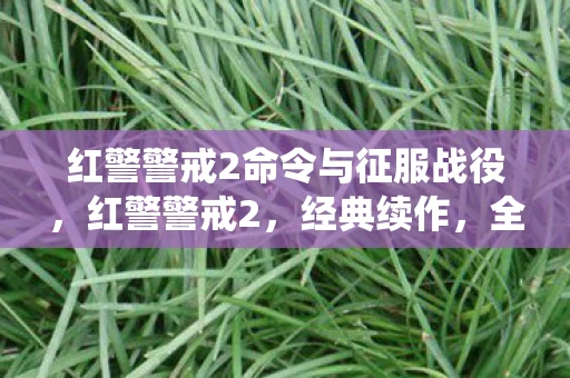 红警警戒2命令与征服战役，红警警戒2，经典续作，全新体验