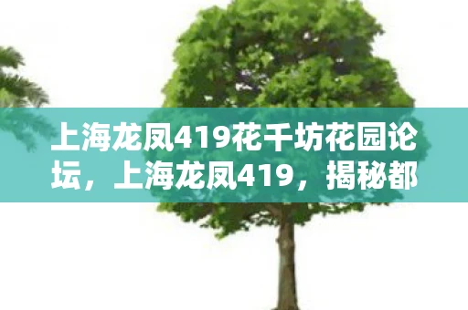 上海龙凤419花千坊花园论坛，上海龙凤419，揭秘都市隐秘的灰色地带