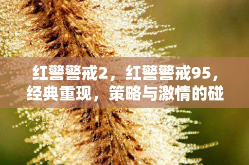 红警警戒2,红警警戒95,经典重现,策略与激情的碰撞 红警警戒2,红警警戒95,经典重现,策略与激情的碰撞