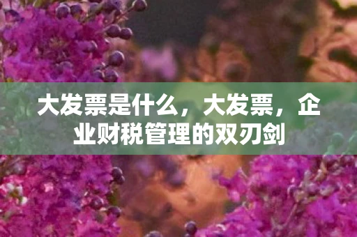 大发票是什么，大发票，企业财税管理的双刃剑