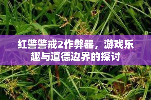 红警警戒2作弊器，游戏乐趣与道德边界的探讨