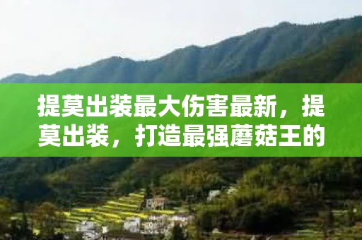提莫出装最大伤害最新，提莫出装，打造最强蘑菇王的装备指南
