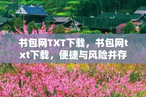 书包网TXT下载，书包网txt下载，便捷与风险并存