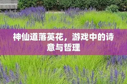 游戏中的诗意与哲理图片