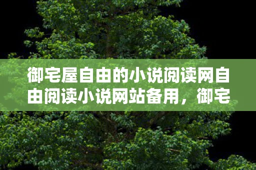 御宅屋自由的小说阅读网自由阅读小说网站备用，御宅屋自由的小说阅读网，探索无限想象的文学天地