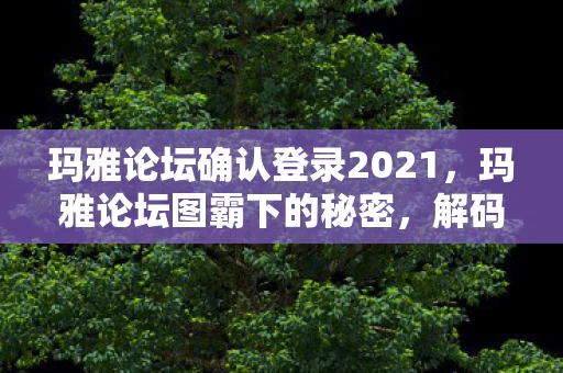 玛雅论坛确认登录2021图片