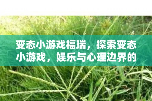 变态小游戏福瑞，探索变态小游戏，娱乐与心理边界的微妙平衡