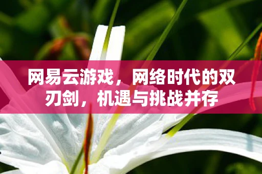 网易云游戏,网络时代的双刃剑,机遇与挑战并存 网易云游戏,网络时代的双刃剑,机遇与挑战并存