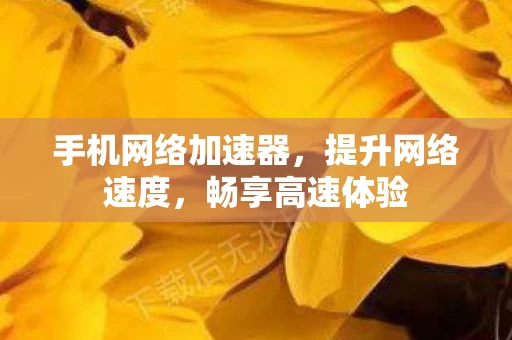 手机网络加速器，提升网络速度，畅享高速体验
