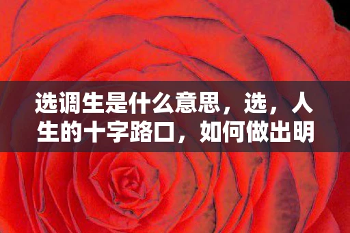 选调生是什么意思，选，人生的十字路口，如何做出明智决策？