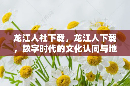 龙江人社下载,龙江人下载,数字时代的文化认同与地域特色 龙江人社下载,龙江人下载,数字时代的文化认同与地域特色