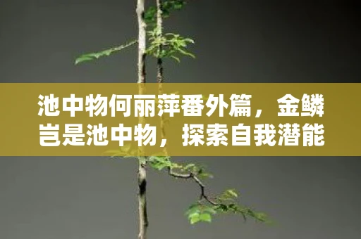 池中物何丽萍番外篇，金鳞岂是池中物，探索自我潜能的旅程