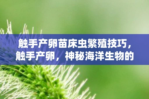 触手产卵苗床虫繁殖技巧,触手产卵,神秘海洋生物的奇妙繁殖方式 触手产卵苗床虫繁殖技巧,触手产卵,神秘海洋生物的奇妙繁殖方式